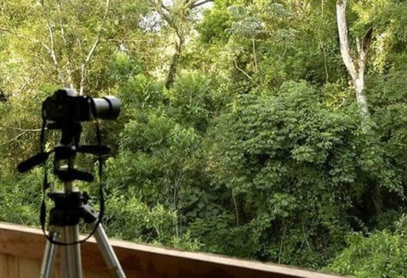 فندق La Aldea De La Selva Lodge