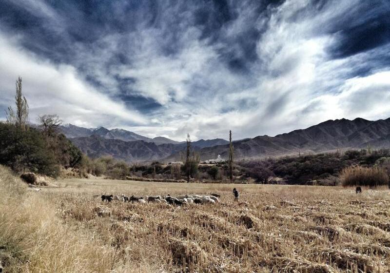 هتل La Merced Del Alto