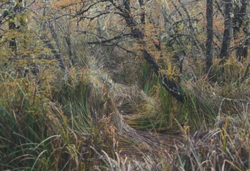 호텔 Las Balsas Relais & Chateaux