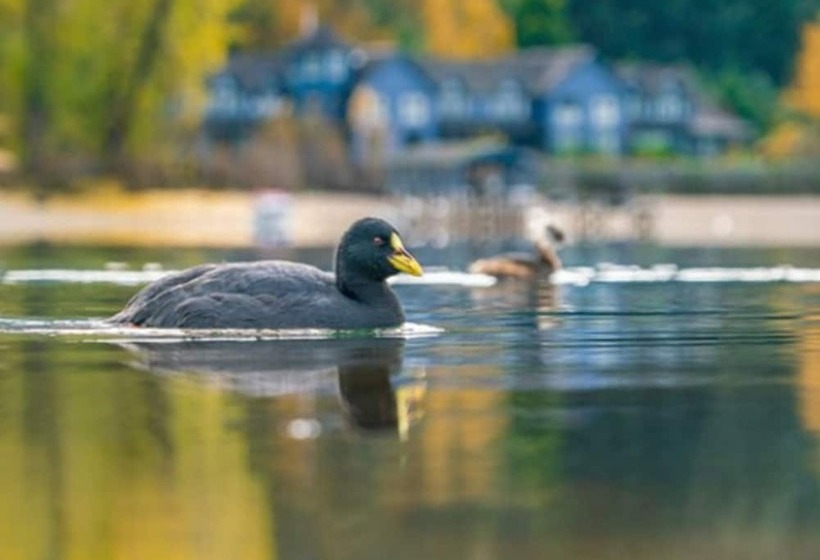 호텔 Las Balsas Relais & Chateaux