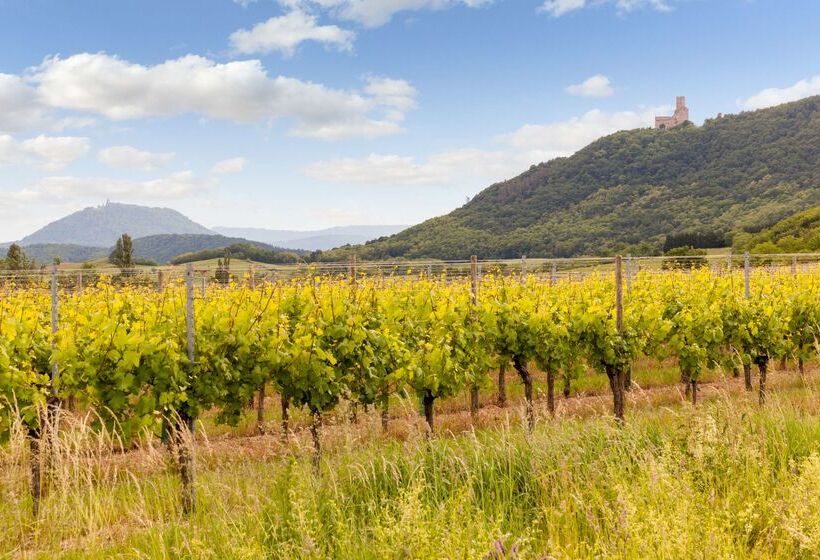 Отель Hôtel Restaurant Verger Des Châteaux, The Originals Relais, Proche Sélestat