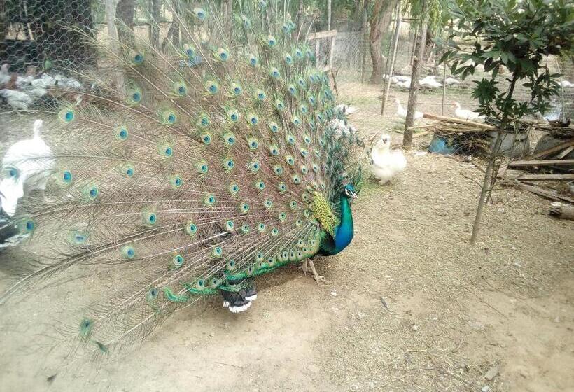 호텔 Locanda Le Mandriane