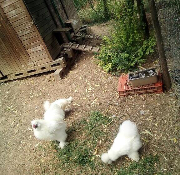 酒店 Locanda Le Mandriane