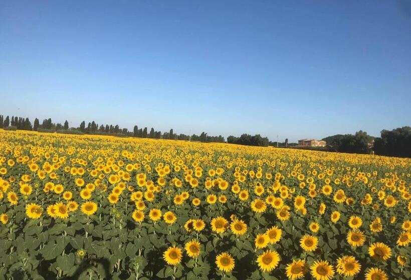 酒店 Locanda Le Mandriane