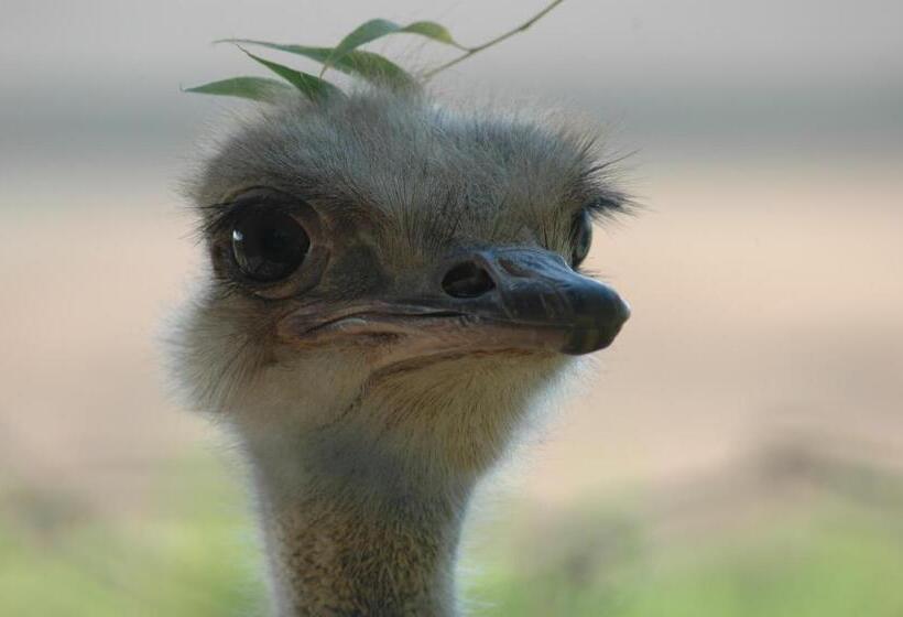 酒店 Locanda Le Mandriane