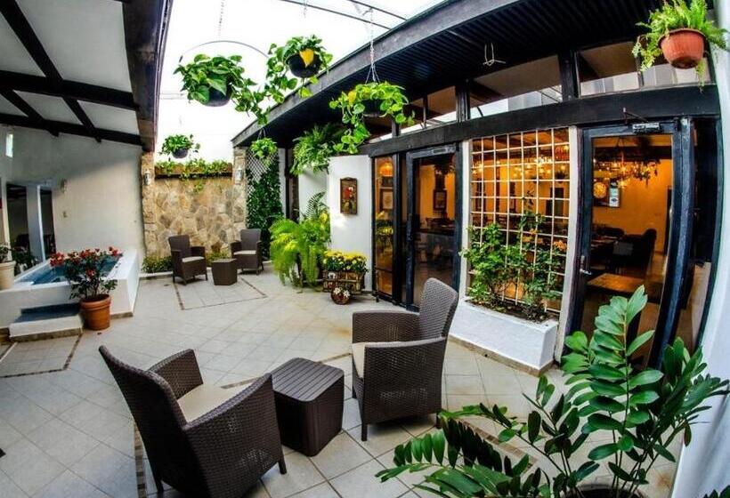 Отель Lorencillo Miramar