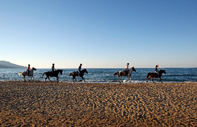 酒店 Orpheas Resort