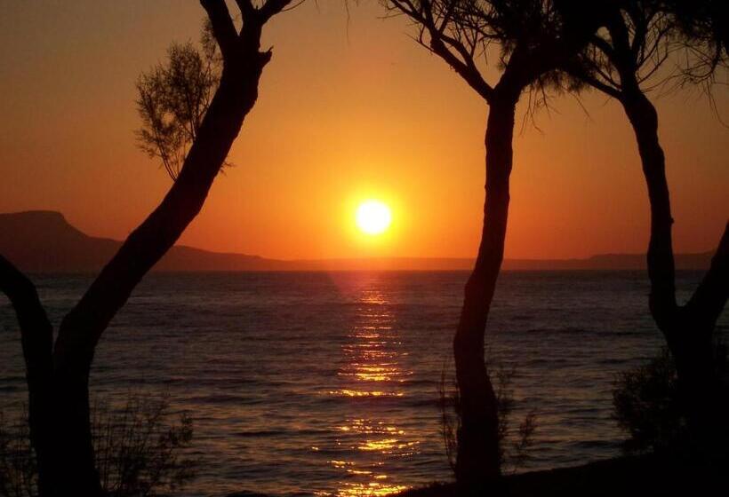 Отель Palazzo Vecchio Exclusive Residence