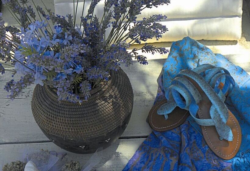 בית מלון כפרי Pavezzo Country Retreat