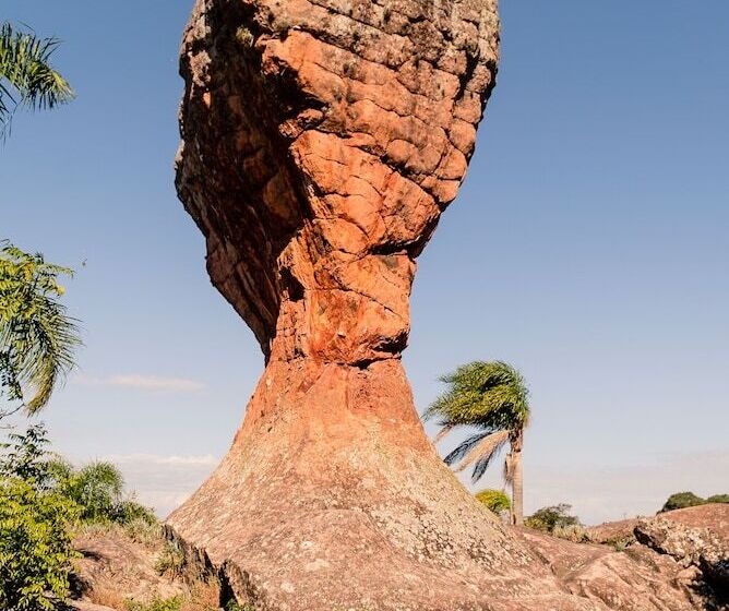 Planalto Select Hotel Ponta Grossa