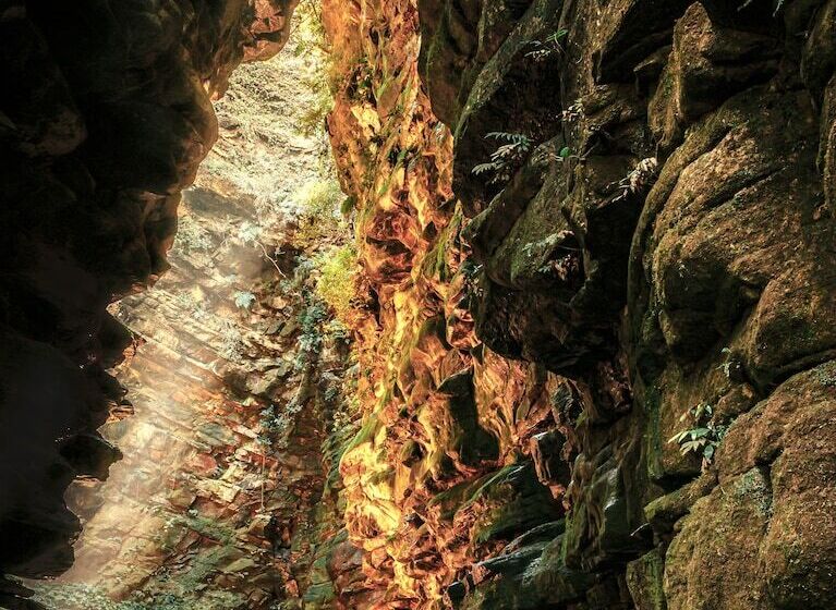 Planalto Select Hotel Ponta Grossa