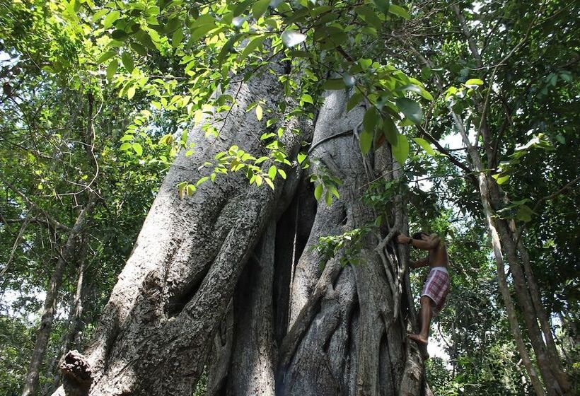 ホテル Pousada La Bonita