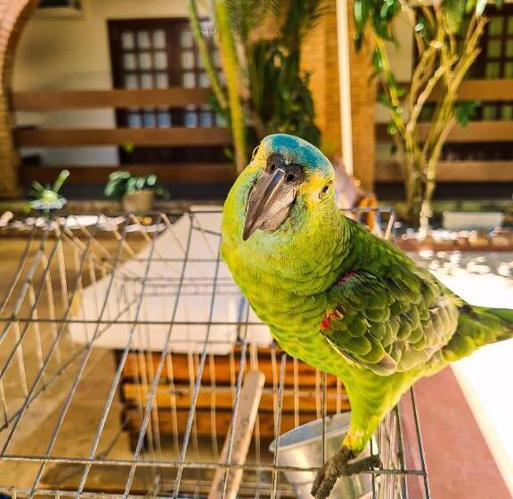 호텔 Pousada Mahon Mar