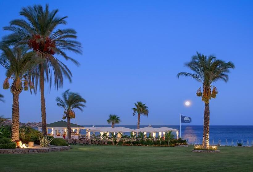 ホテル Rodos Palladium Leisure & Wellness