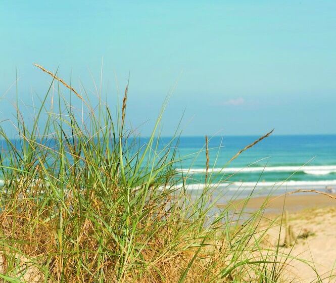 فندق Résidence Vacances Bleues Domaine De L Agreou