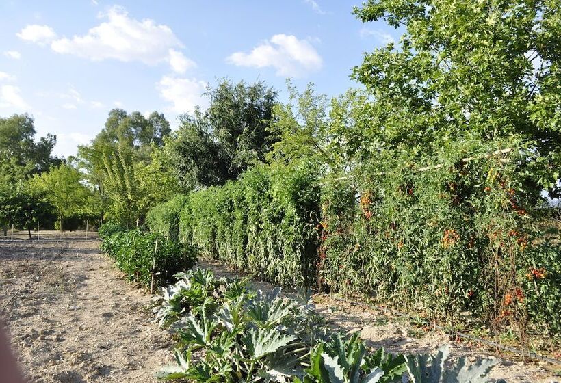 בית מלון כפרי Rural La Paloma