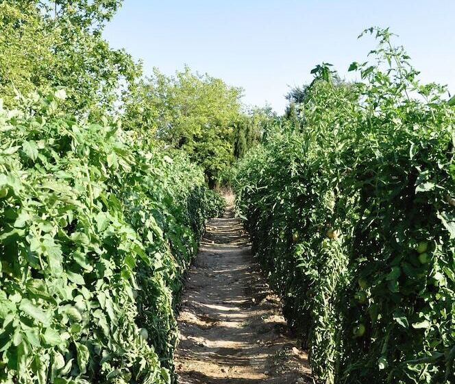 בית מלון כפרי Rural La Paloma
