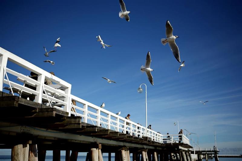 هتل Sheraton Sopot