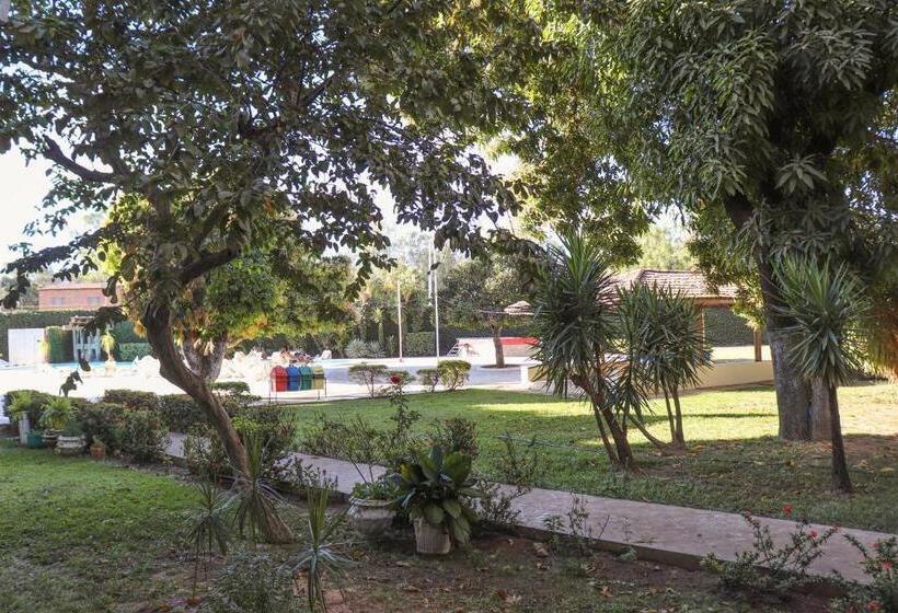 בית מלון כפרי Solar Das Mangueiras