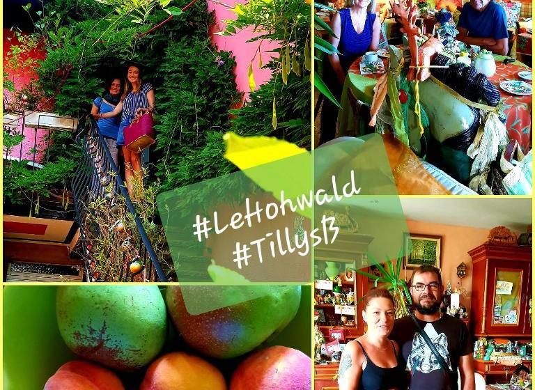 בית מלון כפרי Tilly S B&b And Apartment House