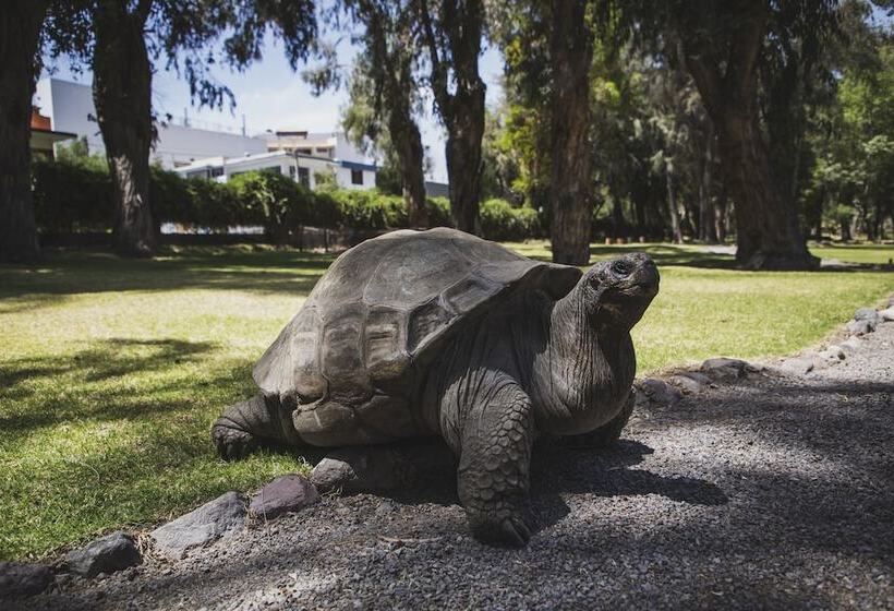 호텔 Wyndham Costa Del Sol Arequipa