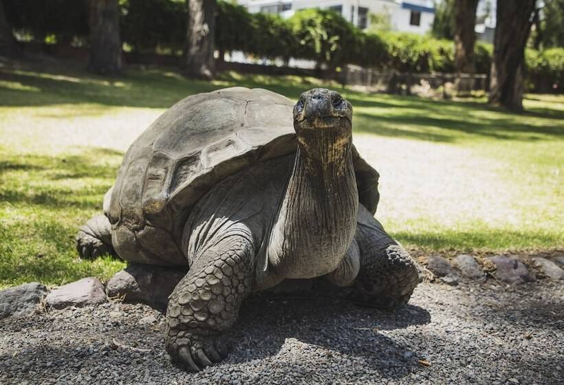 호텔 Wyndham Costa Del Sol Arequipa