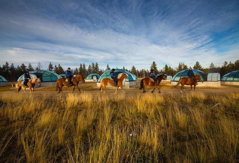 Kakslauttanen Arctic Resort   Igloos And Chalets