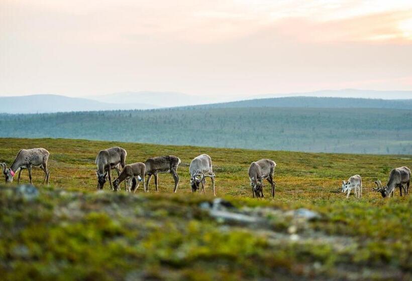 Kakslauttanen Arctic Resort   Igloos And Chalets