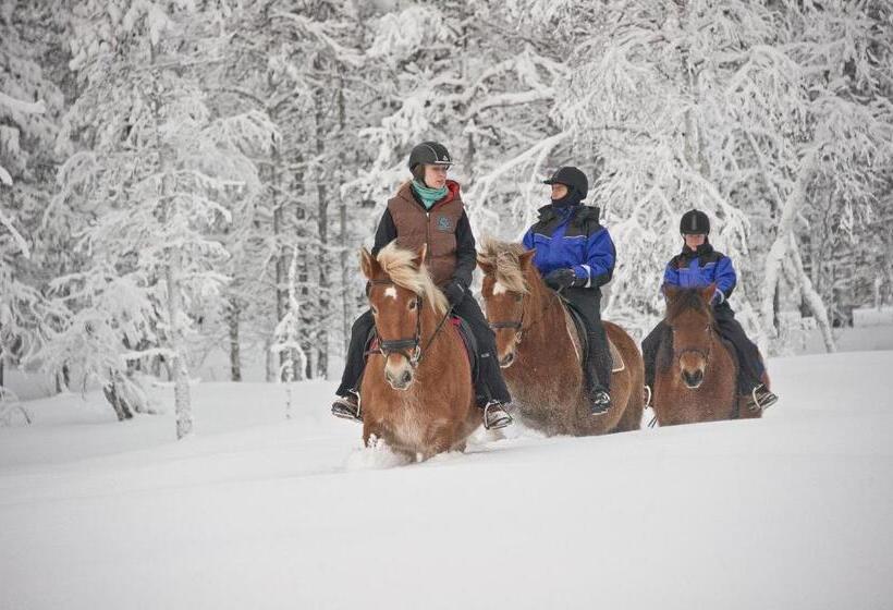 Kakslauttanen Arctic Resort   Igloos And Chalets
