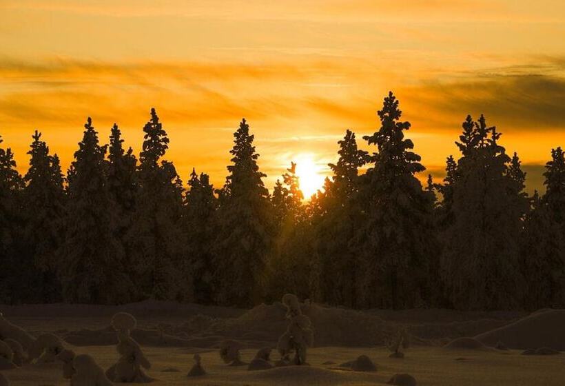 Kakslauttanen Arctic Resort   Igloos And Chalets