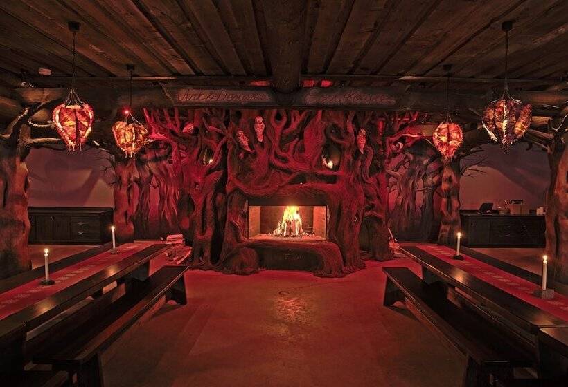 Kakslauttanen Arctic Resort   Igloos And Chalets