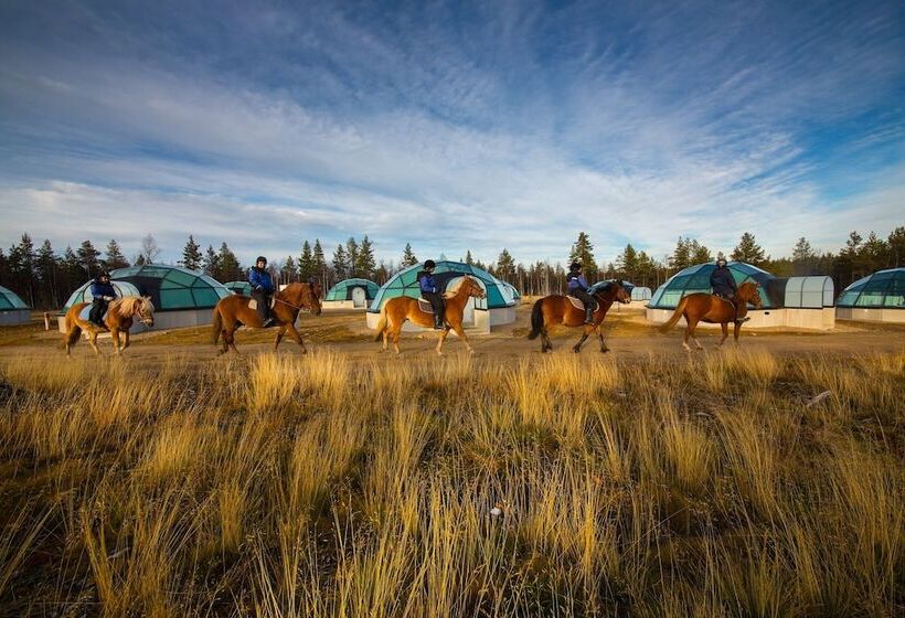 Kakslauttanen Arctic Resort   Igloos And Chalets