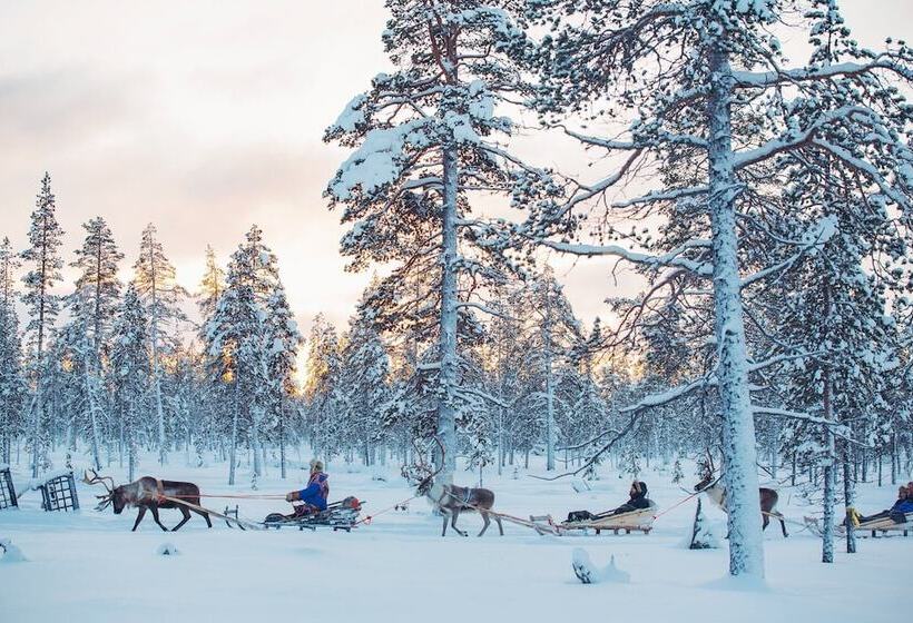 Kakslauttanen Arctic Resort   Igloos And Chalets