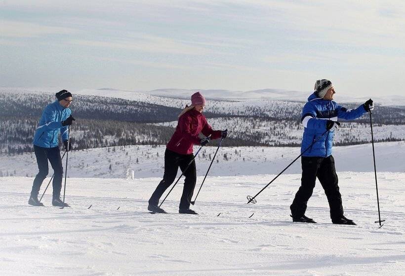 Kakslauttanen Arctic Resort   Igloos And Chalets