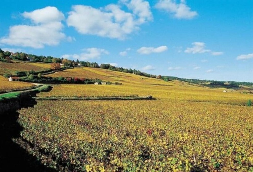 Résidence Vtf Les Allées Du Green