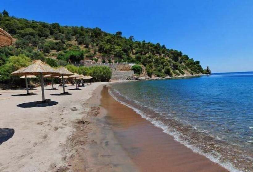 Отель Cavo Petra