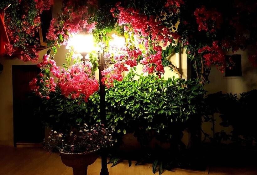 酒店 Eon Dalyan Boutique