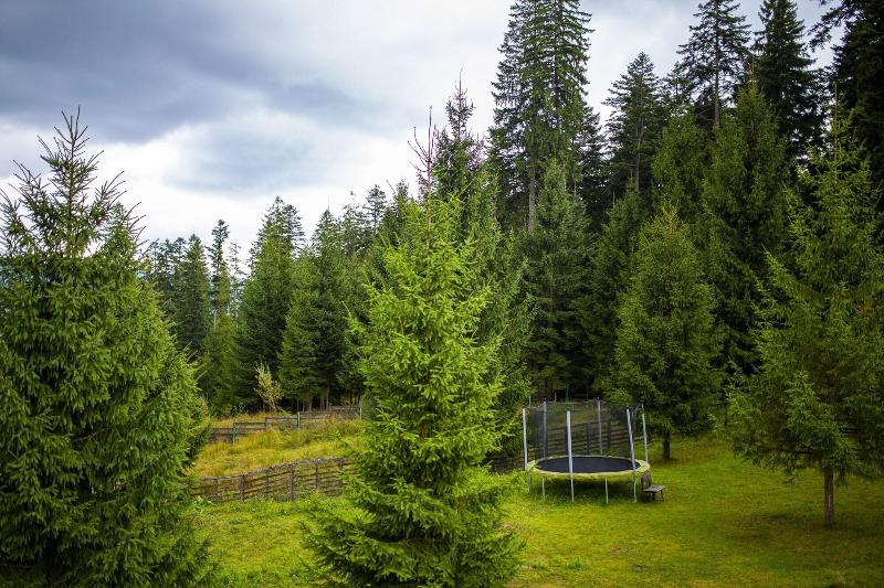 酒店 Floare De Colt