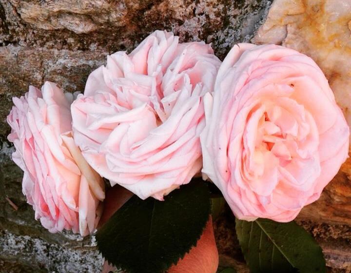 هتل Kalderimi Country House