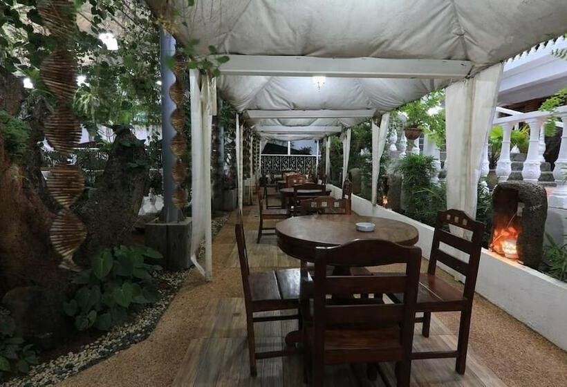 هتل Luljettas Place Garden Suites