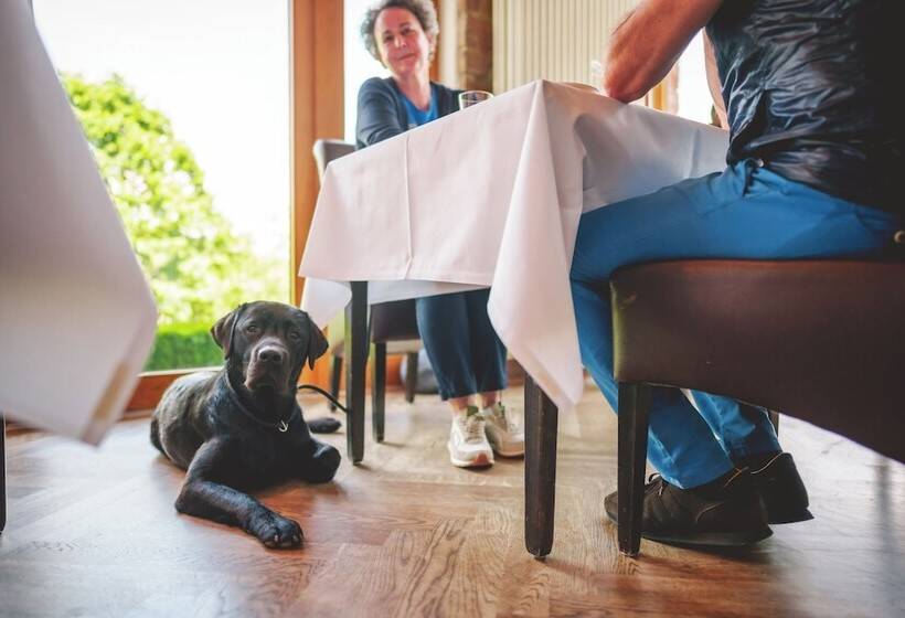 هتل Marienhoh  Hideaway & Spa