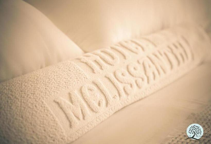 فندق Melissanthi
