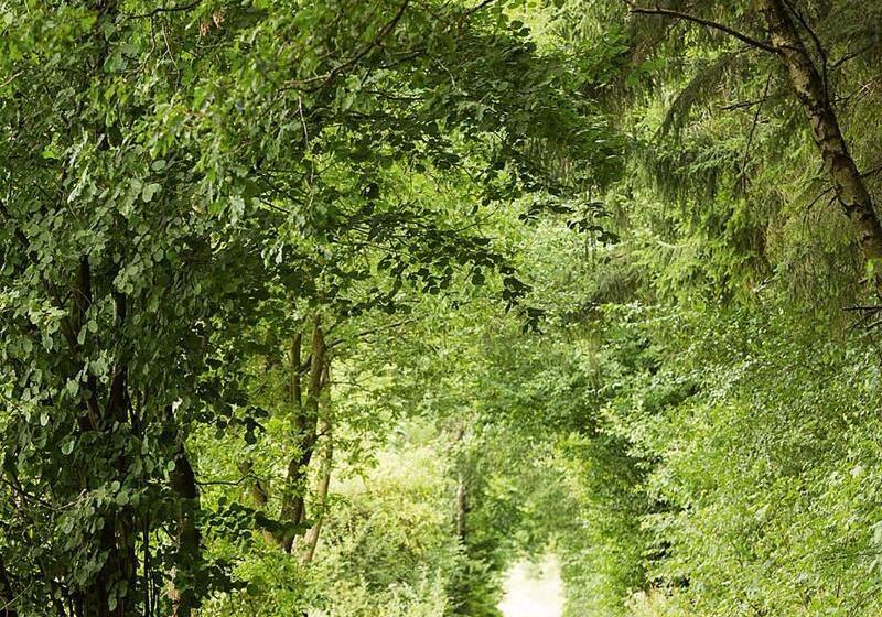 ホテル Naturresort Tannenhof Gmbh