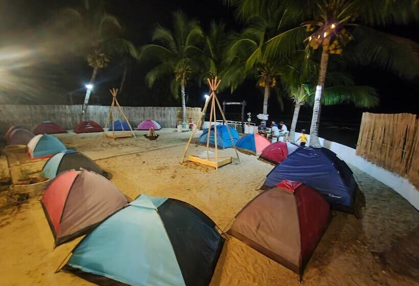 酒店 North Shores Inn