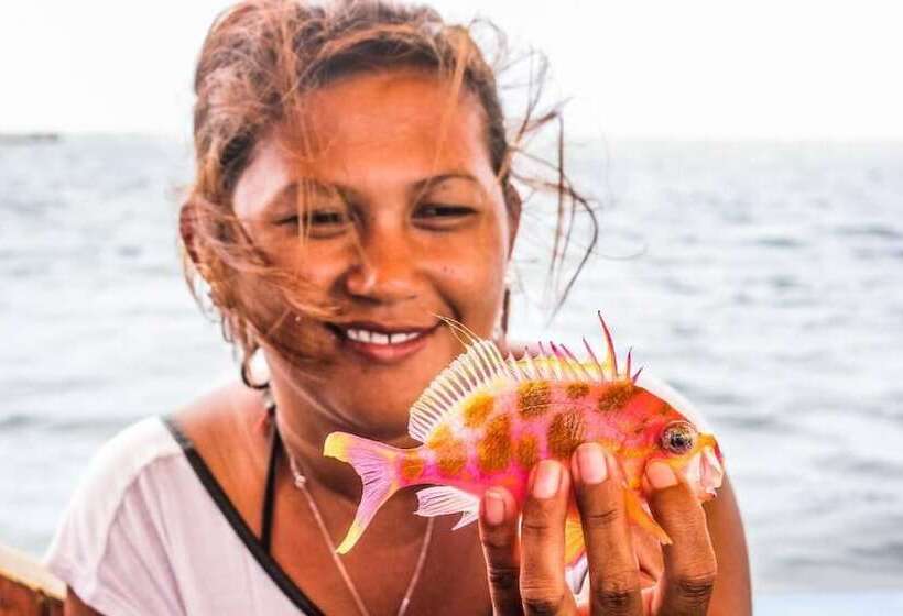 Отель Panorama Backpackers