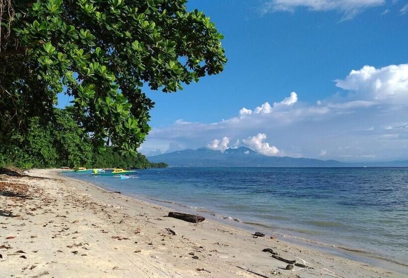 Отель Panorama Backpackers