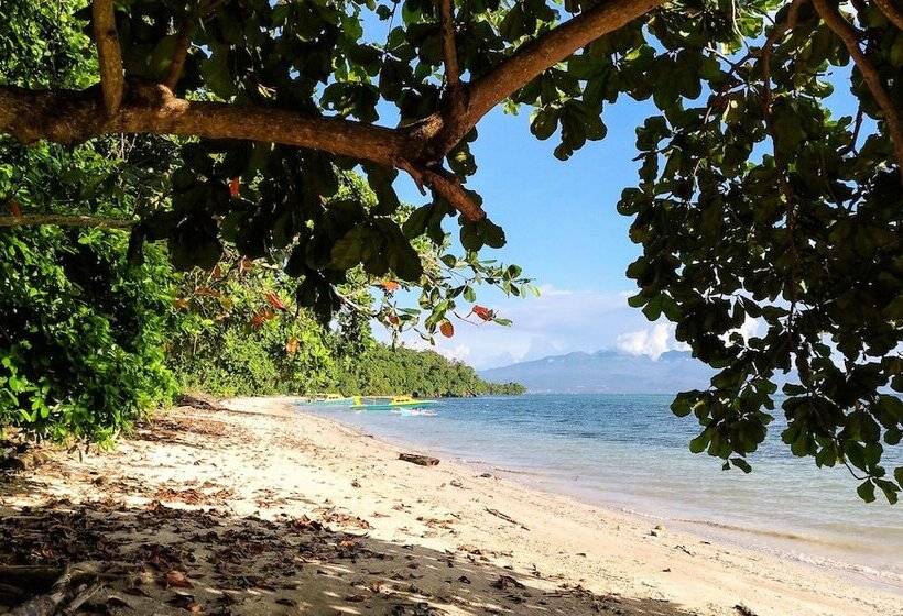 Отель Panorama Backpackers