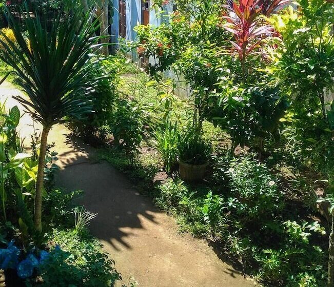 Отель Panorama Backpackers