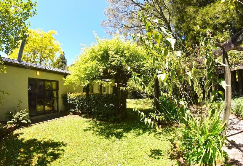 בית מלון כפרי Te Popo Gardens And Accommodation