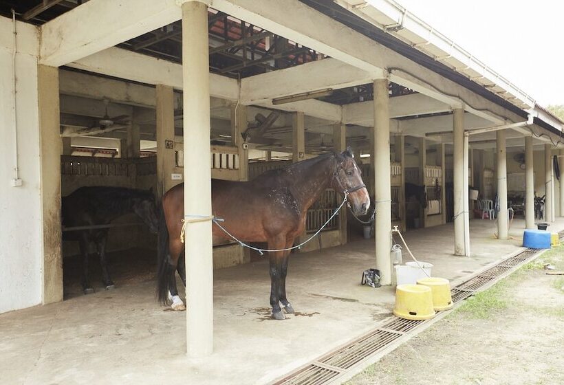 فندق Terengganu Equestrian Resort